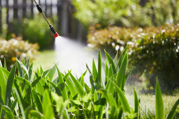 24/7 Emergency Mosquito Control experts in Holmen, WI