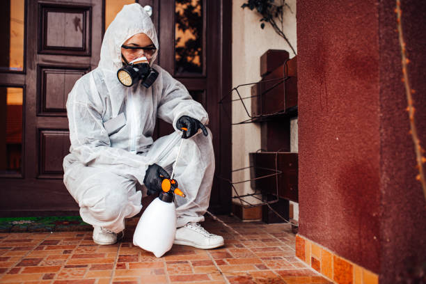 Reliable Mosquito Control contractor in Holmen, WI by Show Me Pest Control